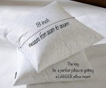 Set of 2 White Down Feather Pillow Inserts