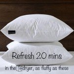 Set of 2 White Down Feather Pillow Inserts