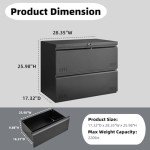 2-Drawer Lateral File Cabinet with Lock - Black