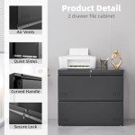 2-Drawer Lateral File Cabinet with Lock - Black