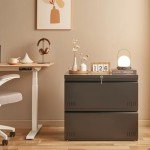 2-Drawer Lateral File Cabinet with Lock - Black