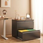 2-Drawer Lateral File Cabinet with Lock - Black