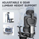 Ergonomic Mesh Office Chair with Lumbar Support
