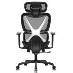 Gabryllly Ergonomic Big & Tall Office Chair