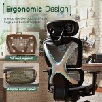 Gabryllly Ergonomic Big & Tall Office Chair