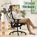 Gabryllly Ergonomic Big & Tall Office Chair