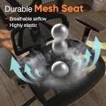 Gabryllly Ergonomic Big & Tall Office Chair