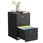 Metal 2 Drawer File Cabinet with Lock - Black