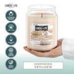 Creamy Vanilla Swirl Scented Candle - 18 oz