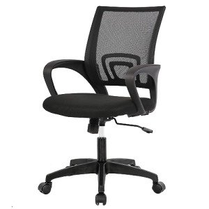 Black Adjustable Ergonomic Office Chair with Lumbar Support