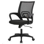Black Adjustable Ergonomic Office Chair with Lumbar Support