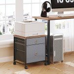 Rustic Mobile File Cabinet with 2 Drawers