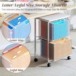 White Rolling File Cabinet with 2 Drawers & Wheels