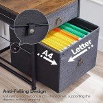 Rustic Mobile File Cabinet with 2 Drawers