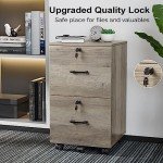 Rustic Gray 2 Drawer Locking File Cabinet