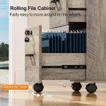 Rustic Gray 2 Drawer Locking File Cabinet