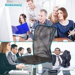 Ergonomic Mesh Office Chair with Lumbar Support