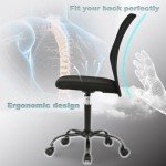 Ergonomic Mesh Office Chair with Lumbar Support