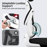 Ergonomic Mesh Office Chair for Comfort and Support