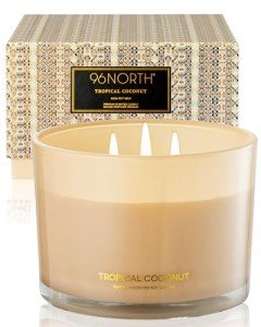 96NORTH Tropical Beach Scented 3-Wick Candle