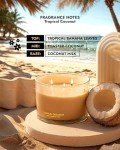 96NORTH Tropical Beach Scented 3-Wick Candle