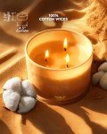 96NORTH Tropical Beach Scented 3-Wick Candle