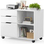 3-Drawer Mobile File Cabinet for Home Office