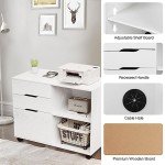 3-Drawer Mobile File Cabinet for Home Office