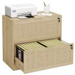 2-Drawer Locking File Cabinet with Printer Stand