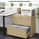 2-Drawer Locking File Cabinet with Printer Stand