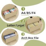 2-Drawer Locking File Cabinet with Printer Stand