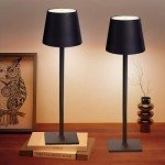 Chloranthus Rechargeable Cordless Table Lamps - 2 Pack