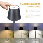 Chloranthus Rechargeable Cordless Table Lamps - 2 Pack