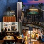 Chloranthus Rechargeable Cordless Table Lamps - 2 Pack