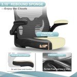 Ergonomic High Back Office Chair with Adjustable Height