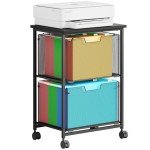 Rolling File Cabinet Cart with 2 Drawers, Black