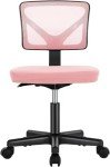 Elegant Low-Back Pink Ergonomic Desk Chair