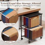 Rolling File Cabinet Cart with 2 Drawers, Black