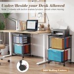 Rolling File Cabinet Cart with 2 Drawers, Black