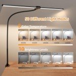 Bright Adjustable LED Desk Lamp with Clamp