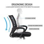 Ergonomic Mesh Office Chair with Lumbar Support