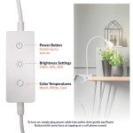 Olivia LED Clamp Desk Lamp with Adjustable Neck