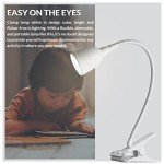 Olivia LED Clamp Desk Lamp with Adjustable Neck