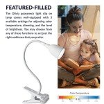 Olivia LED Clamp Desk Lamp with Adjustable Neck