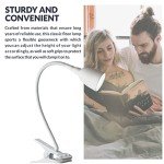 Olivia LED Clamp Desk Lamp with Adjustable Neck