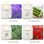 Scented Soy Wax Candle Gift Set - 6 Pack