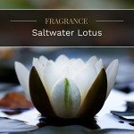 SaltWTR Candle 18oz - Fresh Coastal Scent