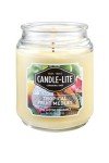 Tropical Fruit Medley 18-Ounce Jar Candle