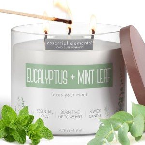 Eucalyptus & Mint 3-Wick Candle - Perfect Gift