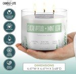 Eucalyptus & Mint 3-Wick Candle - Perfect Gift
